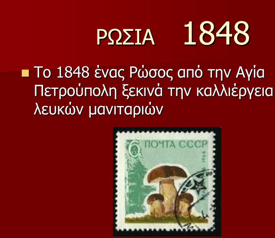 Πετρούπολη ξεκινά την