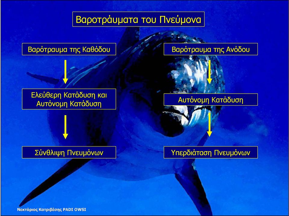 Κατάδυση και Αυτόνοµη Κατάδυση Αυτόνοµη