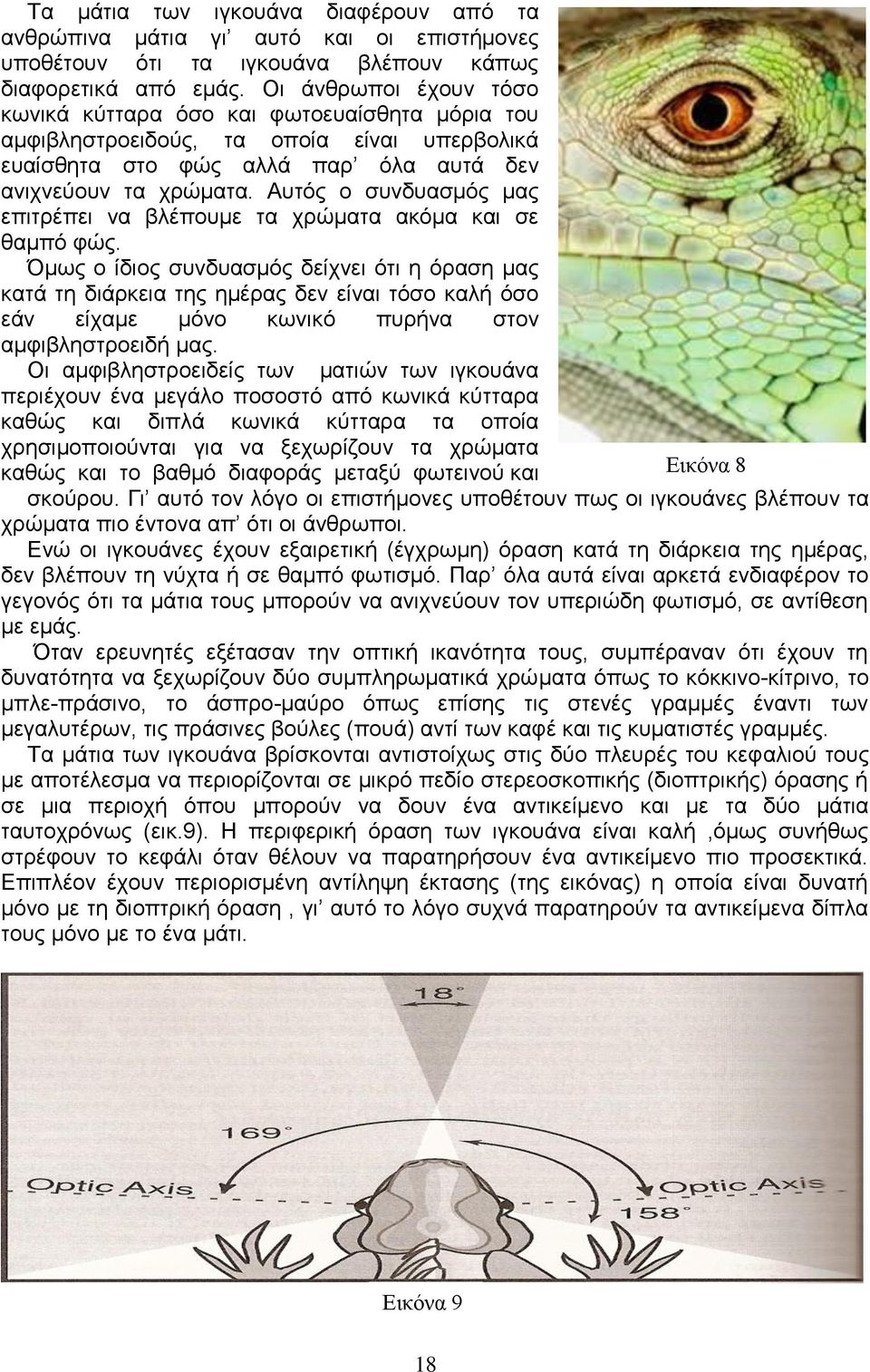 Αυτός ο συνδυασμός μας επιτρέπει να βλέπουμε τα χρώματα ακόμα και σε θαμπό φώς.