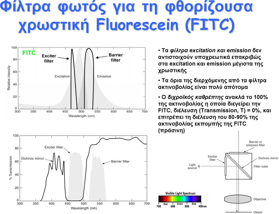 διερχόμενης από τα φίλτρα ακτινοβολίας είναι πολύ απότομα Ο διχροϊκός καθρέπτης ανακλά το 100% της ακτινοβολίας η οποία
