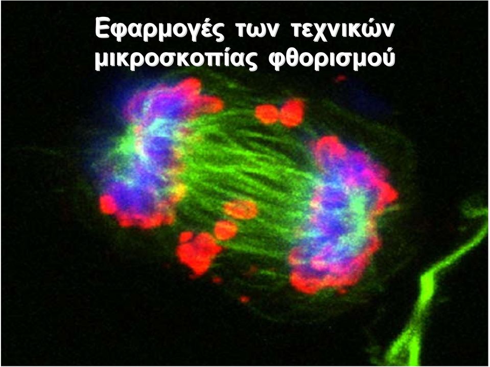 τεχνικών