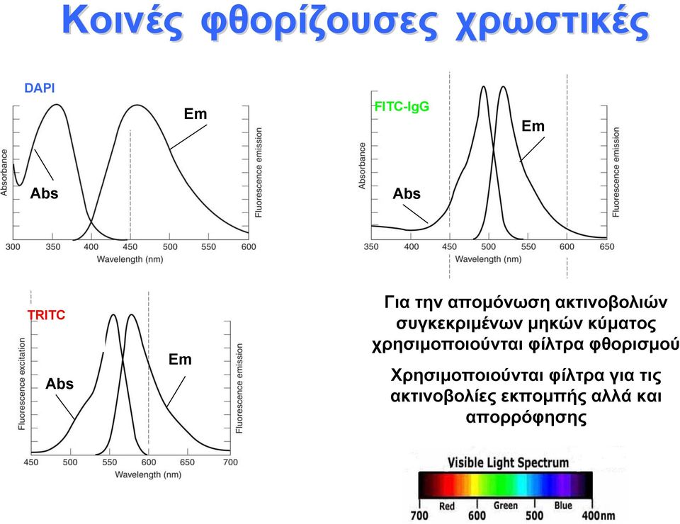 μηκών κύματος χρησιμοποιούνται φίλτρα φθορισμού
