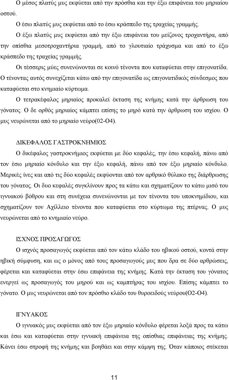 Οι τέσσερις µύες συνενώνονται σε κοινό τένοντα που καταφύεται στην επιγονατίδα. Ο τένοντας αυτός συνεχίζεται κάτω από την επιγονατίδα ως επιγονατιδικός σύνδεσµος που καταφύεται στο κνηµιαίο κύρτωµα.