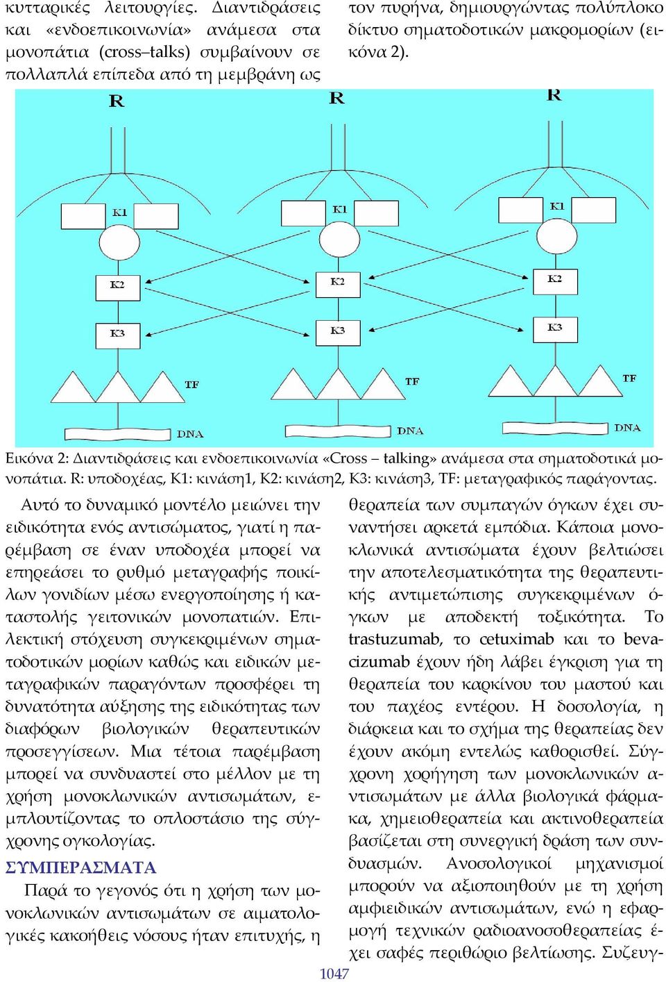 2). Εικόνα 2: Διαντιδράσεις και ενδοεπικοινωνία «Cross talking» ανάμεσα στα σηματοδοτικά μονοπάτια. R: υποδοχέας, K1: κινάση1, K2: κινάση2, Κ3: κινάση3, TF: μεταγραφικός παράγοντας.