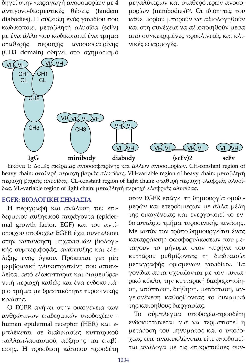 ανοσομορίων (minibodies) 29. Οι ιδιότητες του κάθε μορίου μπορούν να αξιολογηθούν και στη συνέχεια να αξιοποιηθούν μέσα από συγκεκριμένες προκλινικές και κλινικές εφαρμογές.