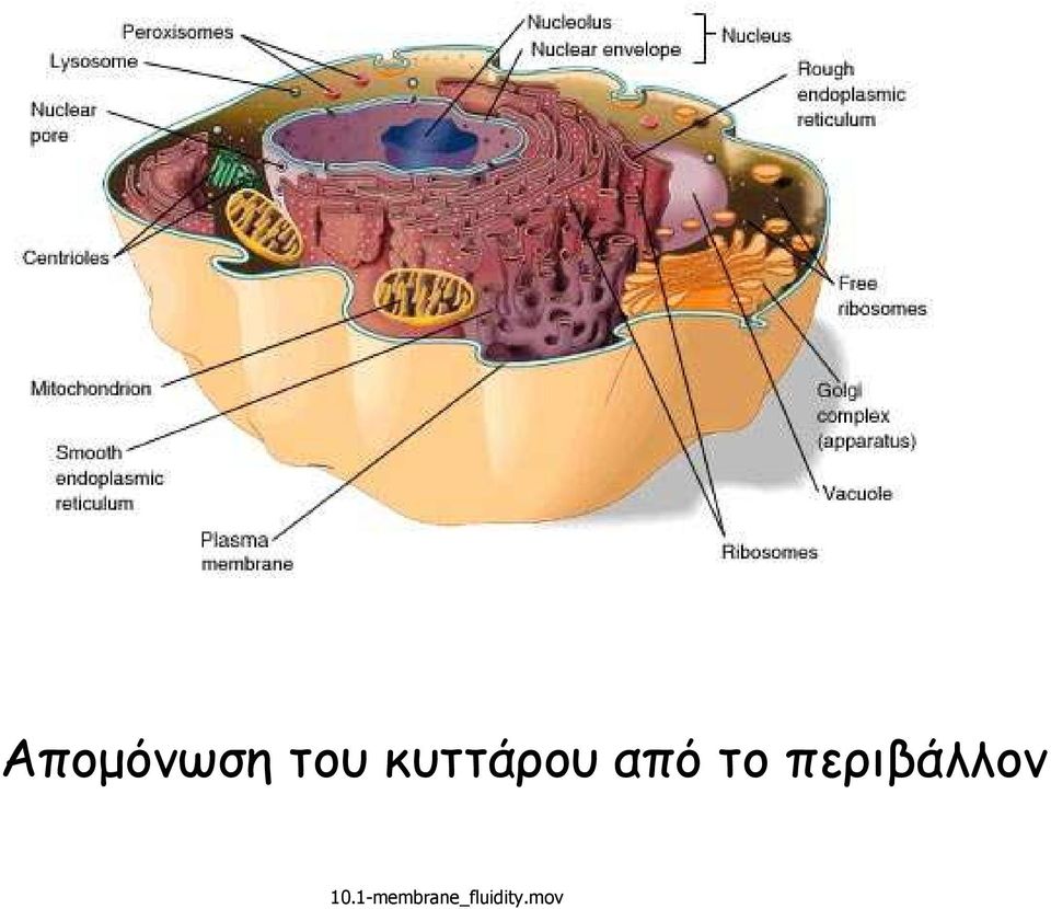 περιβάλλον 10.