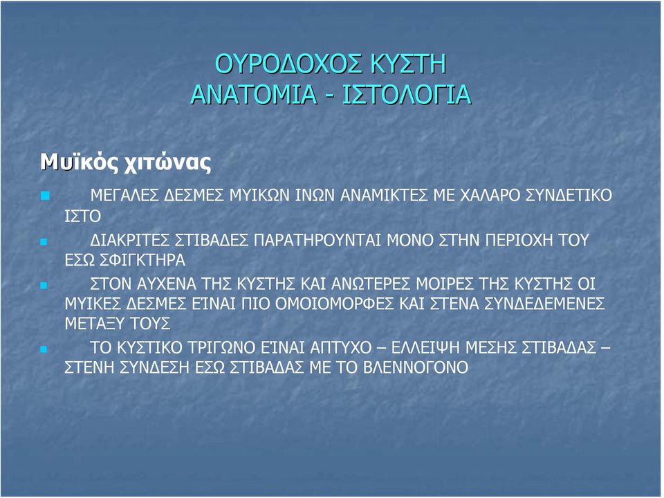 ΚΥΣΤΗΣ ΚΑΙ ΑΝΩΤΕΡΕΣ ΜΟΙΡΕΣ ΤΗΣ ΚΥΣΤΗΣ ΟΙ ΜΥΙΚΕΣ ΔΕΣΜΕΣ ΕΊΝΑΙ ΠΙΟ ΟΜΟΙΟΜΟΡΦΕΣ ΚΑΙ ΣΤΕΝΑ ΣΥΝΔΕΔΕΜΕΝΕΣ