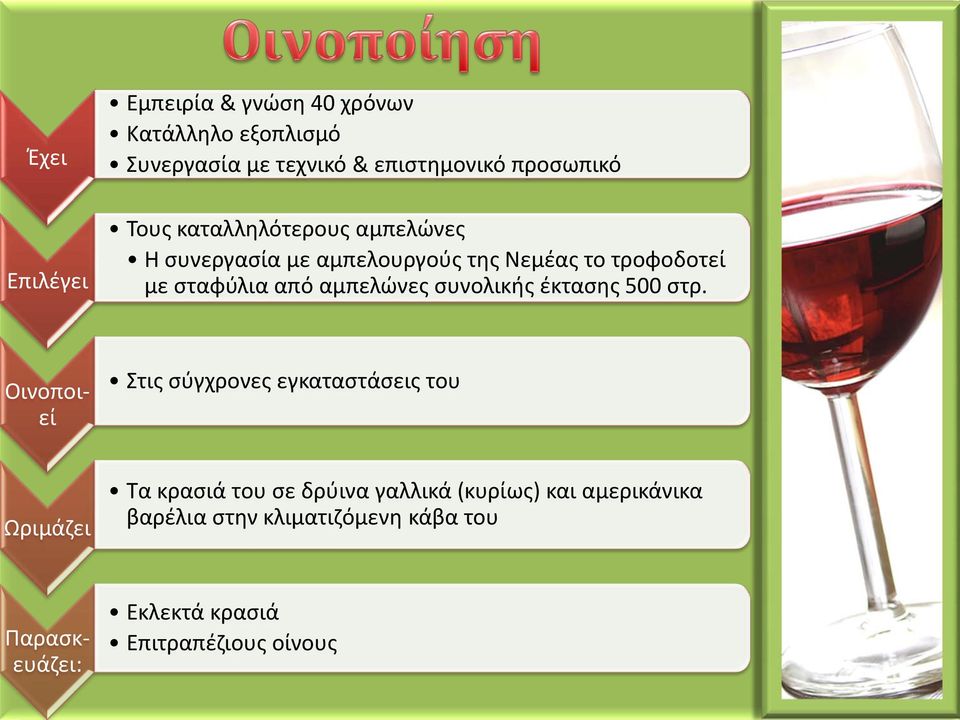 αμπελώνες συνολικής έκτασης 500 στρ.