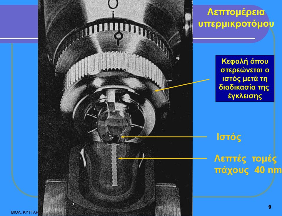 έγκλεισης Ιστός Λεπτές τομές πάχους 40 nm