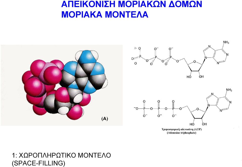 ΜΟΝΤΕΛΑ 1: