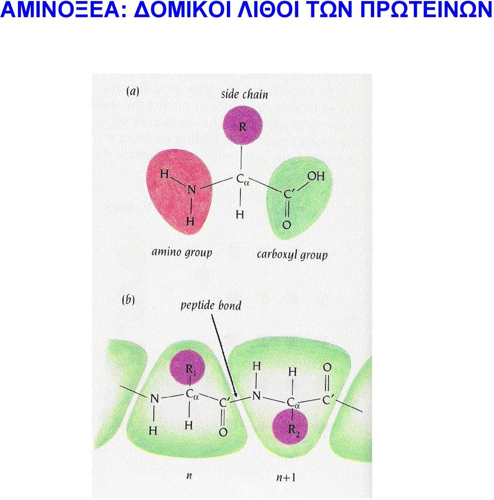 ΛΙΘΟΙ ΤΩΝ