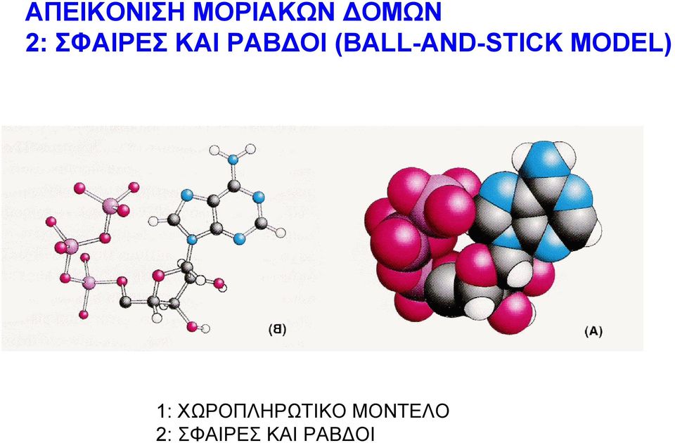 (BALL-AND-STICK MODEL) 1: