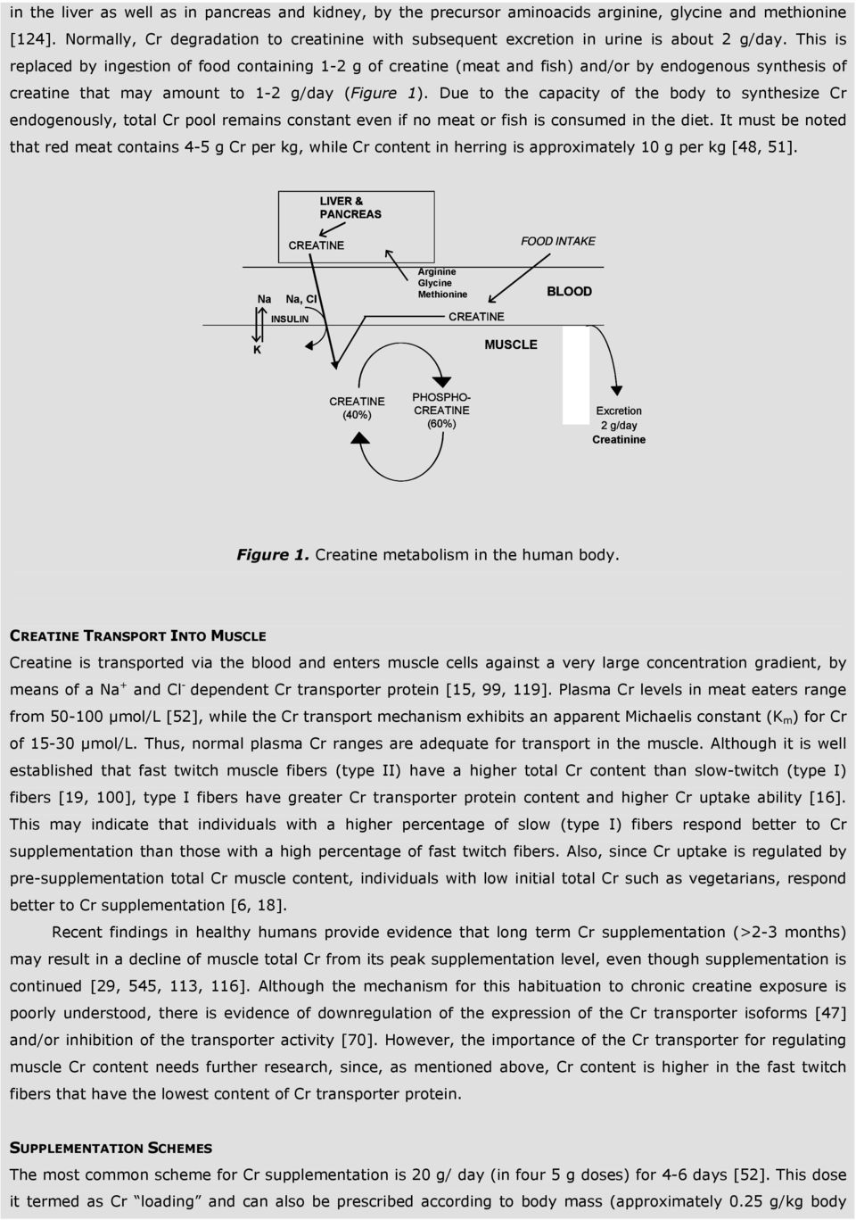 This is replaced by ingestion of food containing 1-2 g of creatine (meat and fish) and/or by endogenous synthesis of creatine that may amount to 1-2 g/day (Figure 1).