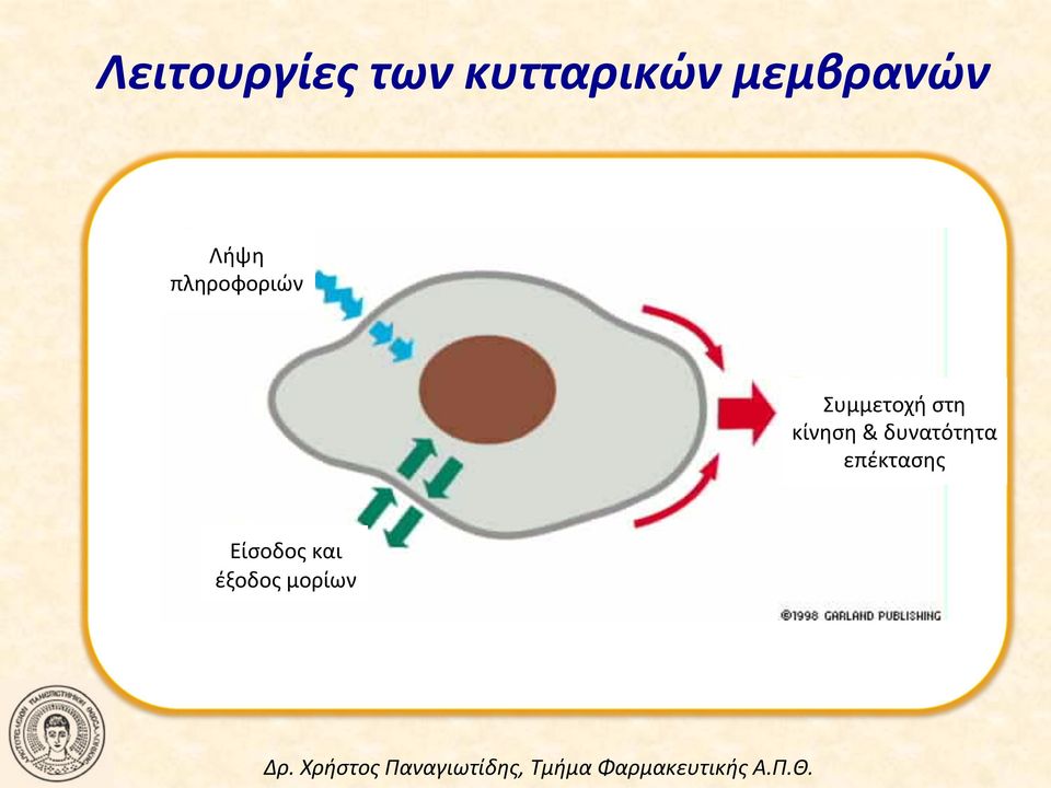 Συμμετοχή στη κίνηση &