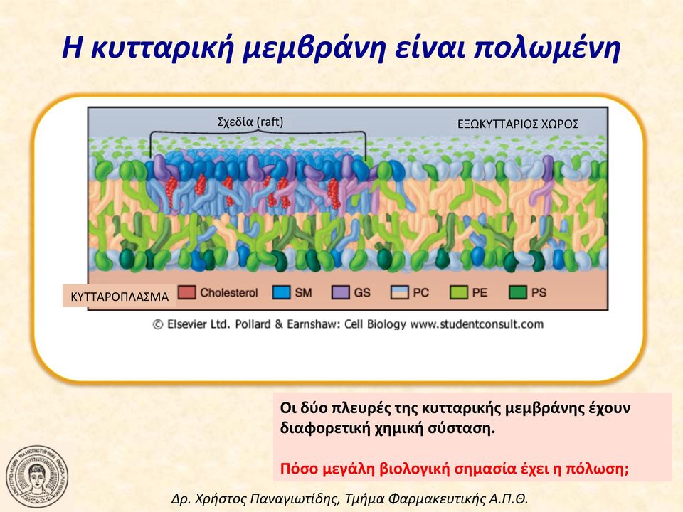 της κυτταρικής μεμβράνης έχουν διαφορετική χημική