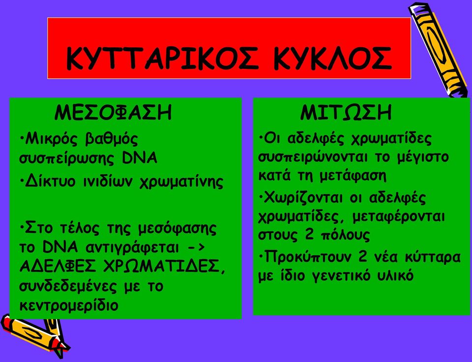 κεντρομερίδιο ΜΙΤΩΣΗ Οι αδελφές χρωματίδες συσπειρώνονται το μέγιστο κατά τη μετάφαση