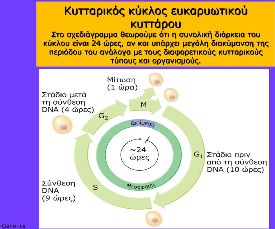 μεγάλη διακύμανση της περιόδου του ανάλογα με τους διαφορετικούς