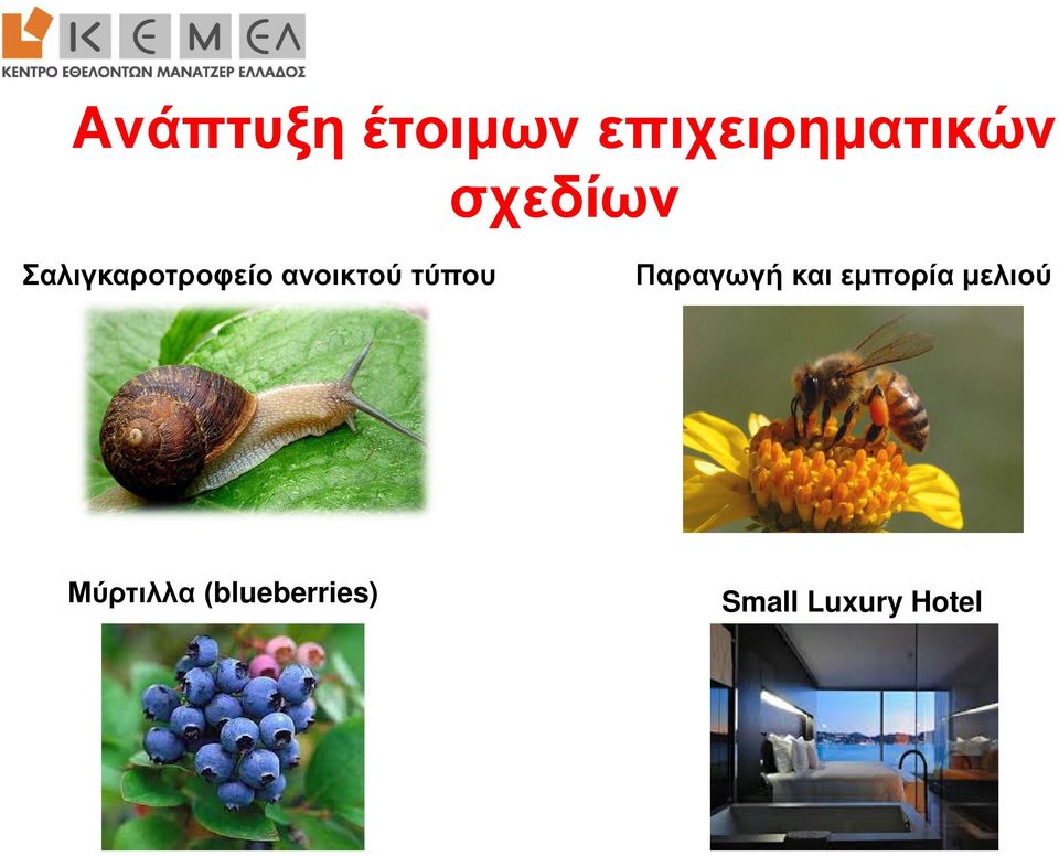 τύπου Παραγωγή και εμπορία μελιού