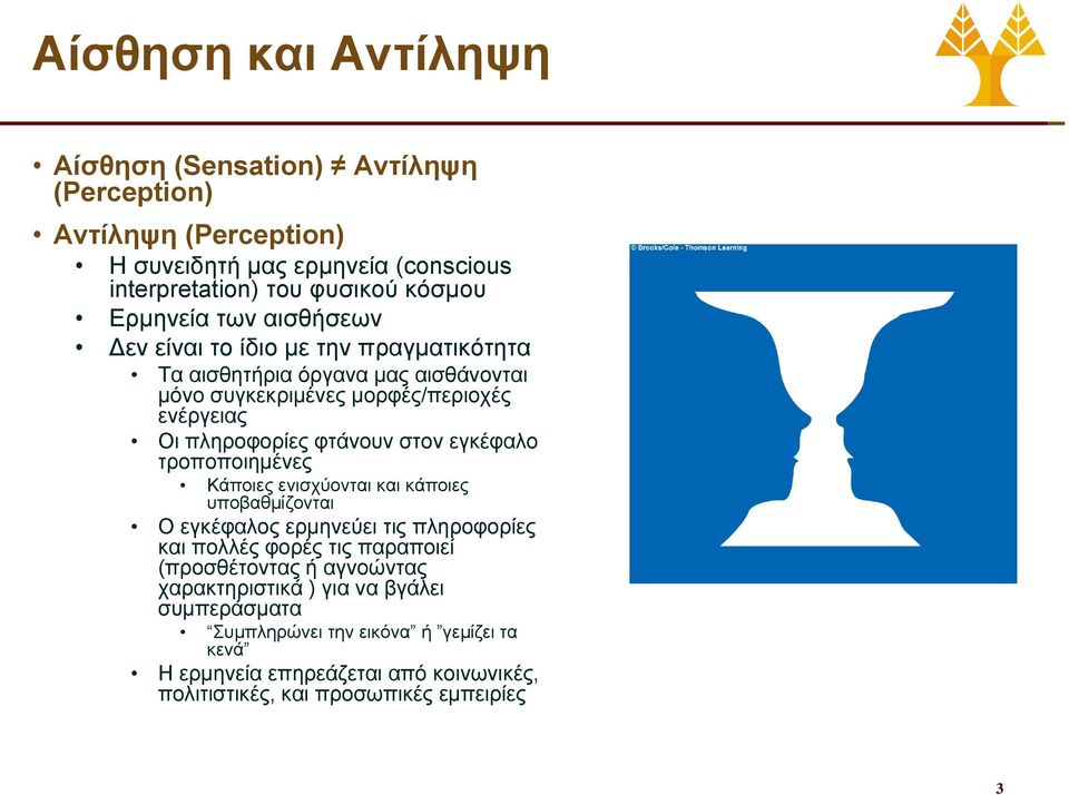 εγκέφαλο τροποποιημένες Κάποιες ενισχύονται και κάποιες υποβαθμίζονται Ο εγκέφαλος ερμηνεύει τις πληροφορίες και πολλές φορές τις παραποιεί (προσθέτοντας ή