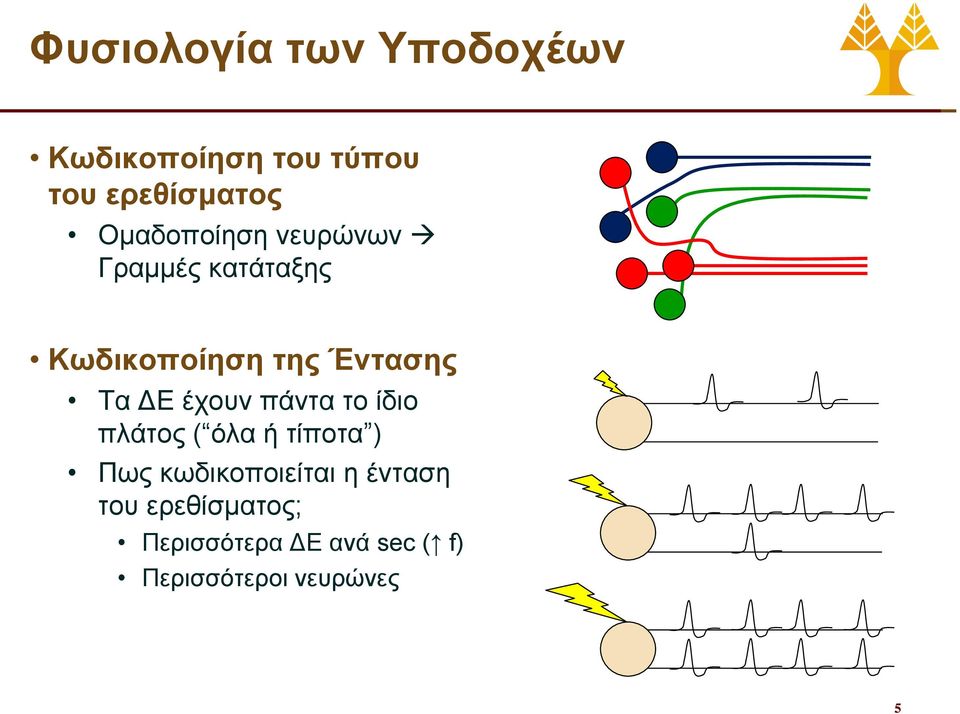 ΔΕ έχουν πάντα το ίδιο πλάτος ( όλα ή τίποτα ) Πως κωδικοποιείται η