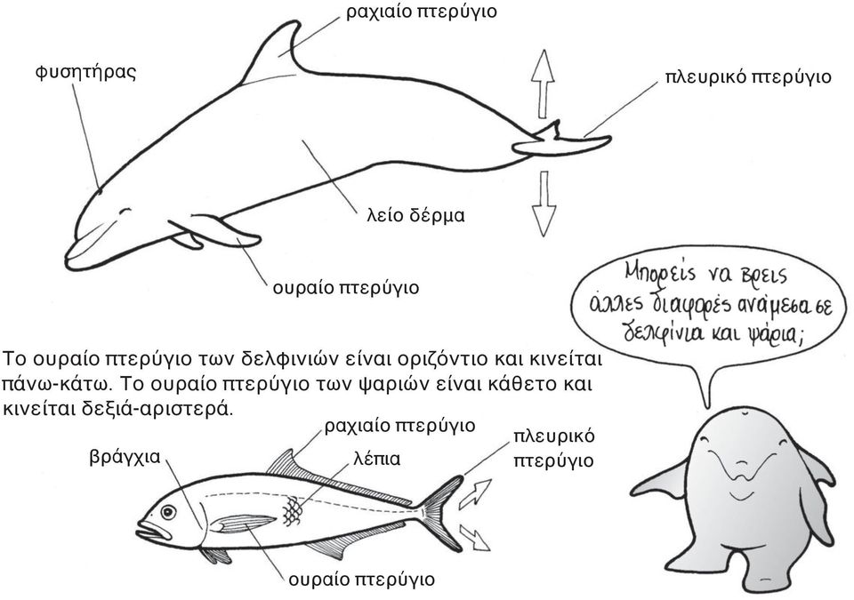 πάνω-κάτω.