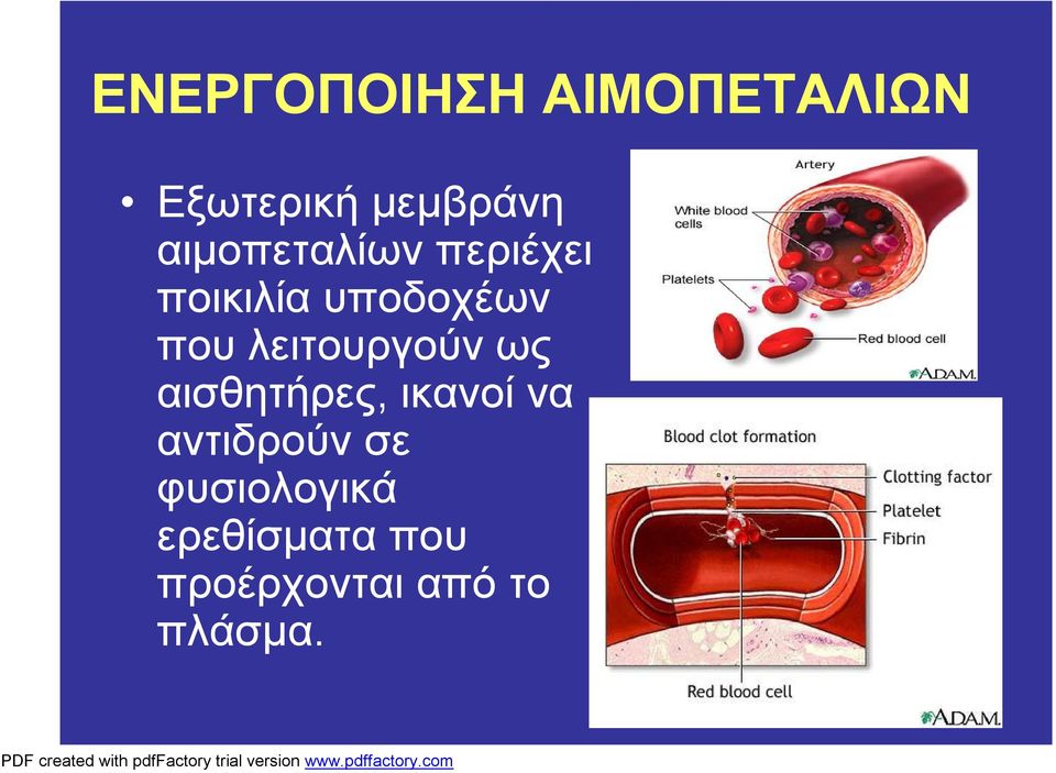 λειτουργούν ως αισθητήρες, ικανοί να αντιδρούν