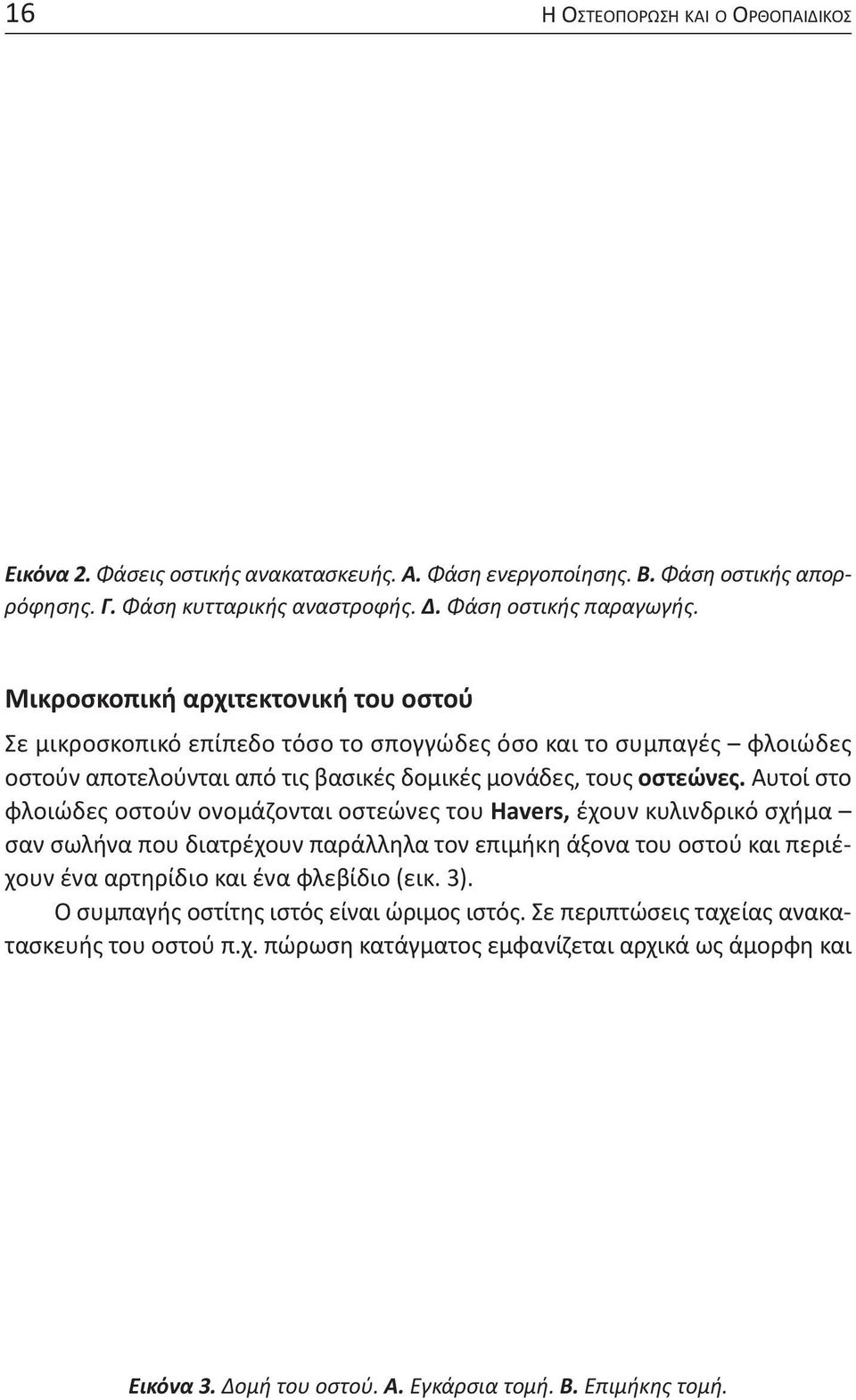 Αυτοί στο φλοιώδες οστούν ονομάζονται οστεώνες του Havers, έχουν κυλινδρικό σχήμα σαν σωλήνα που διατρέχουν παράλληλα τον επιμήκη άξονα του οστού και περιέχουν ένα αρτηρίδιο και ένα φλεβίδιο