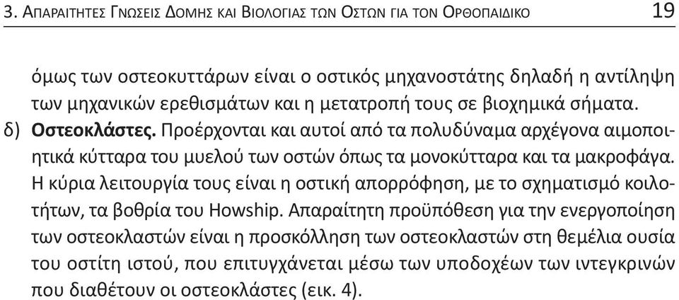 προέρχονται και αυτοί από τα πολυδύναμα αρχέγονα αιμοποιητικά κύτταρα του μυελού των οστών όπως τα μονοκύτταρα και τα μακροφάγα.