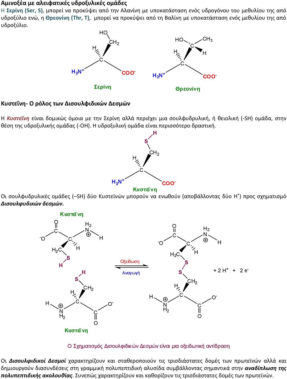 3 2 * 3 + - 3 + - Σερίνη Θρεονίνη Κυστεΐνη- ρόλος των Δισουλφιδικών Δεσμών Η Κυστεΐνη είναι δομικώς όμοια με την Σερίνη αλλά περιέχει μια σουλφυδρυλική, ή θειολική (-S) ομάδα, στην θέση της