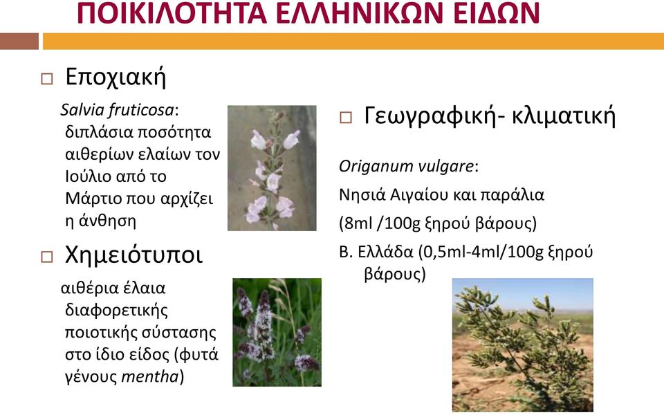 ποιοτικής σύστασης στο ίδιο είδος (φυτά γένους mentha) Γεωγραφική- κλιματική Origanum