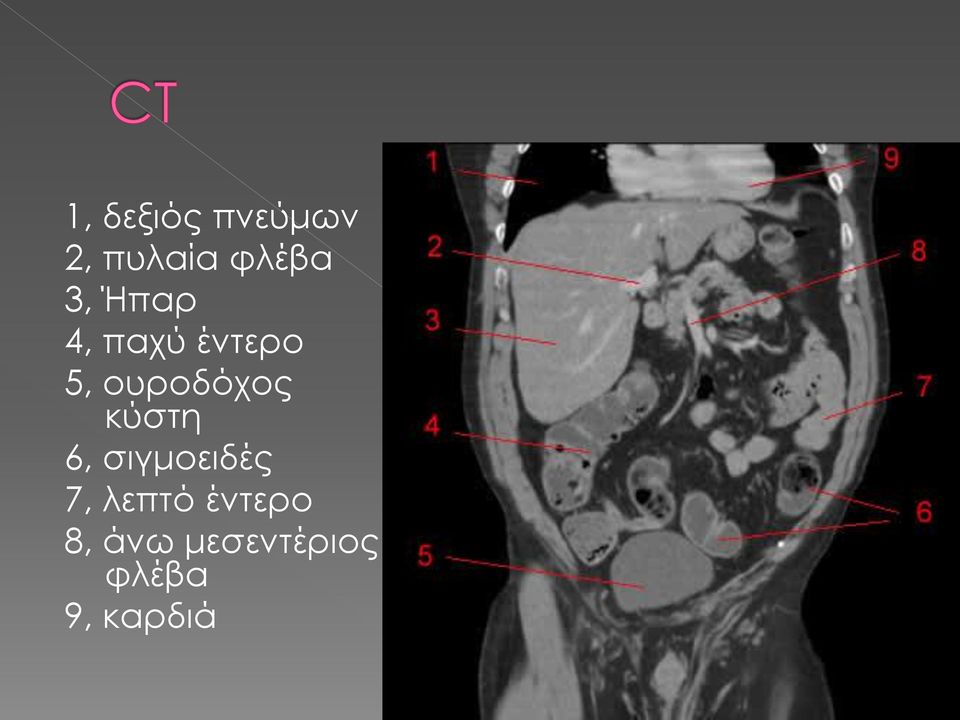 ουροδόχος κύστη 6, σιγμοειδές 7,