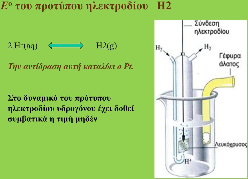 Pt. Στο δυναμικό του πρότυπου