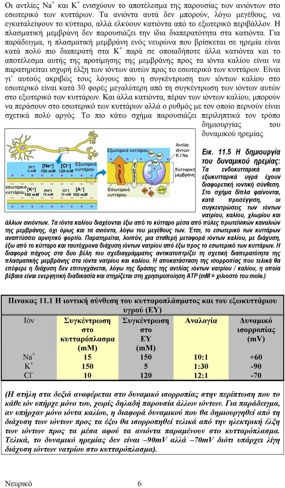 Για παράδειγµα, η πλασµατική µεµβράνη ενός νευρώνα που βρίσκεται σε ηρεµία είναι κατά πολύ πιο διαπερατή στα K + παρά σε οποιαδήποτε άλλα κατιόντα και το αποτέλεσµα αυτής της προτίµησης της µεµβράνης