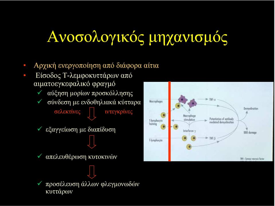 προσκόλλησης σύνδεση µε ενδοθηλιακά κύτταρα σελεκτίνες ιντεγκρίνες