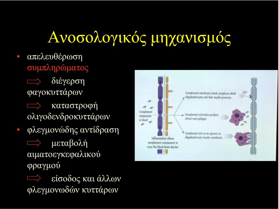 ολιγοδενδροκυττάρων φλεγµονώδης αντίδραση