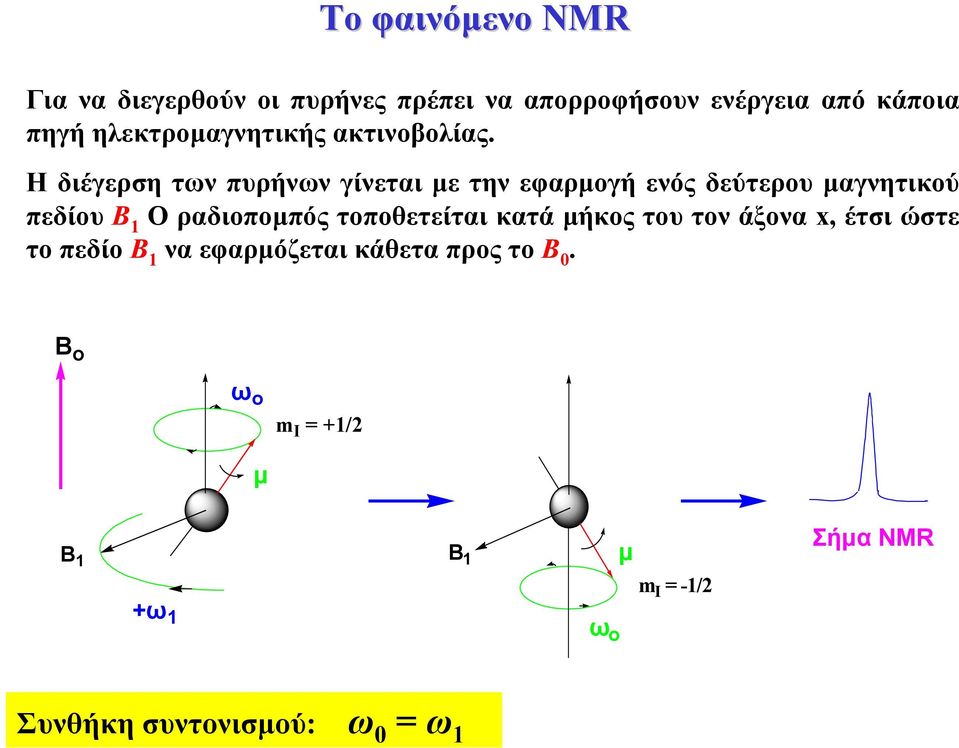 Η διέγερση των πυρήνων γίνεται µε την εφαρµογή ενός δεύτερου µαγνητικού πεδίου Β 1 Ο ραδιοποµπός