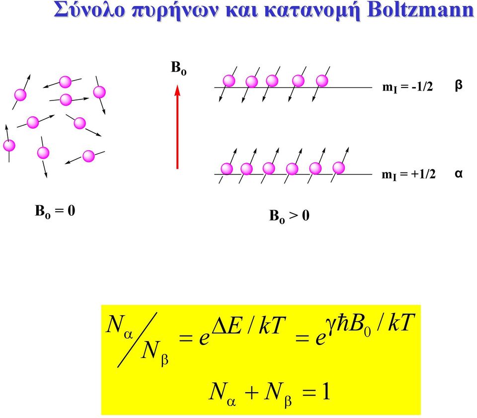 +1/2 α B o B o > N α N β e E