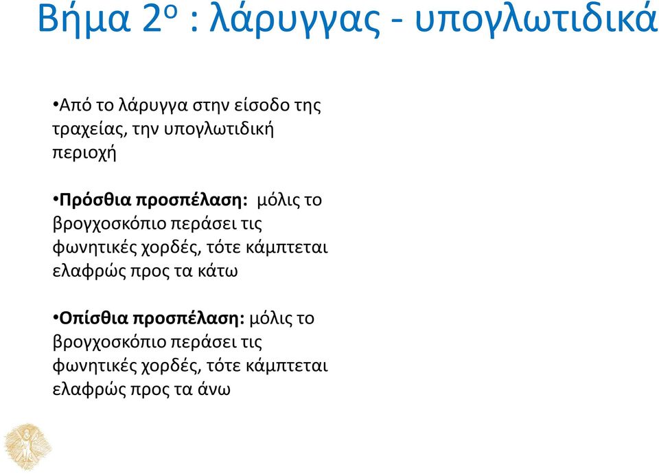 φωνητικές χορδές, τότε κάμπτεται ελαφρώς προς τα κάτω Οπίσθια προσπέλαση: