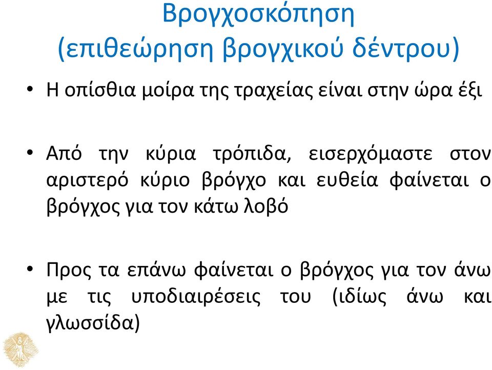 βρόγχο και ευθεία φαίνεται ο βρόγχος για τον κάτω λοβό Προς τα επάνω