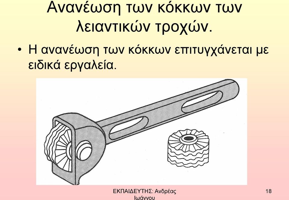 Η ανανέωση των κόκκων