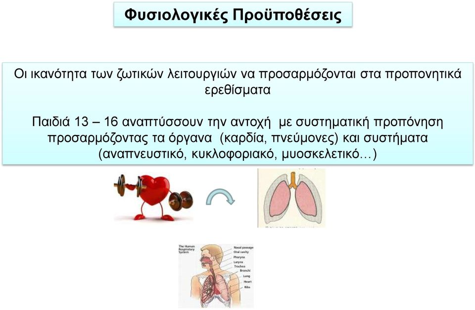 την αντοχή με συστηματική προπόνηση προσαρμόζοντας τα όργανα