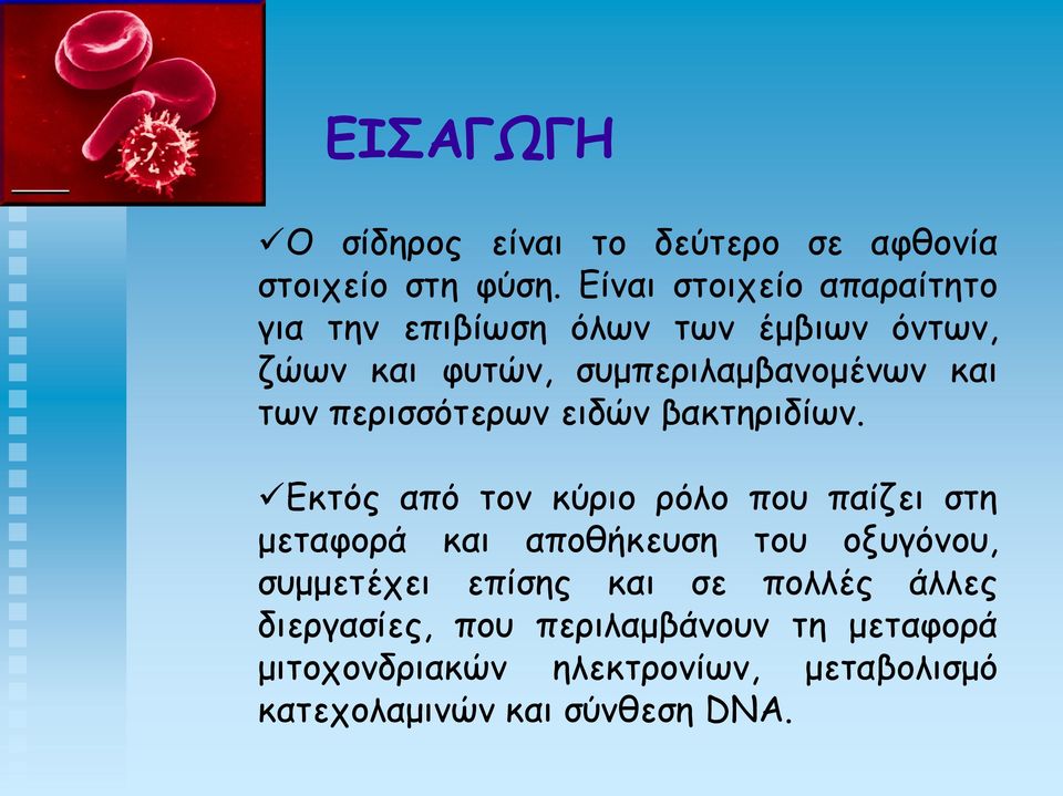 των περισσότερων ειδών βακτηριδίων.
