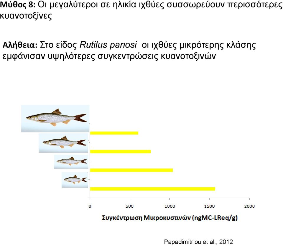 panosi οι ιχθύες μικρότερης κλάσης εμφάνισαν