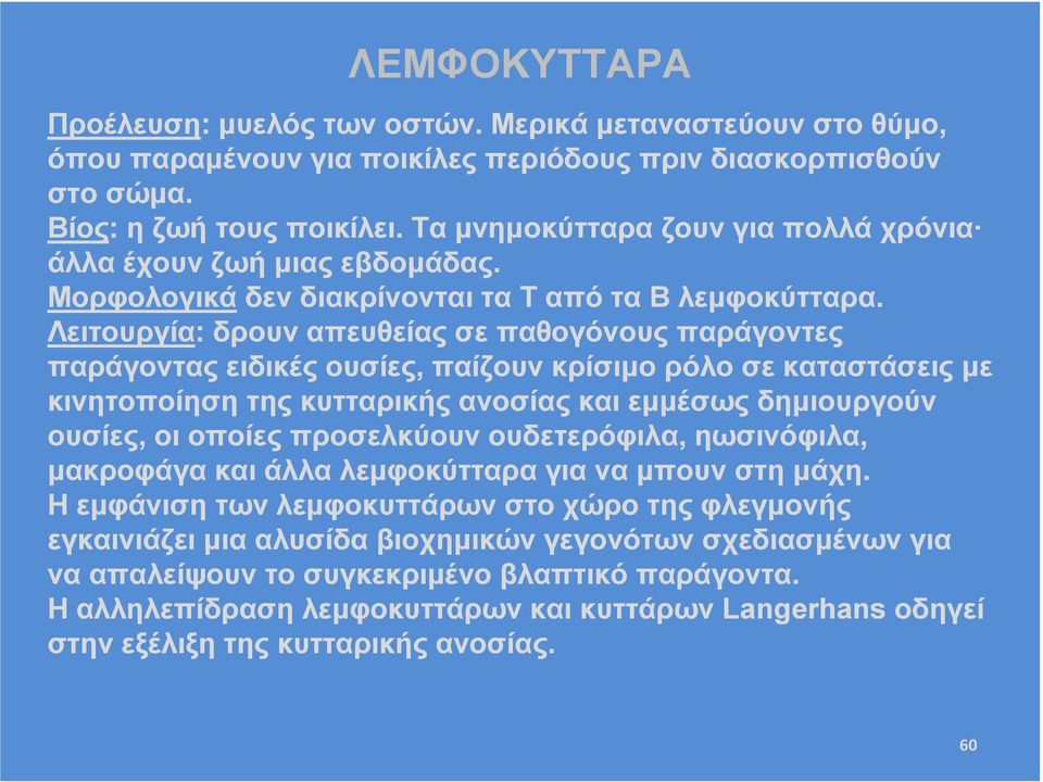 Λειτουργία: δρουν απευθείας σε παθογόνους παράγοντες παράγοντας ειδικές ουσίες, παίζουν κρίσιµο ρόλο σε καταστάσεις µε κινητοποίηση της κυτταρικής ανοσίας και εµµέσως δηµιουργούν ουσίες, οι oποίες