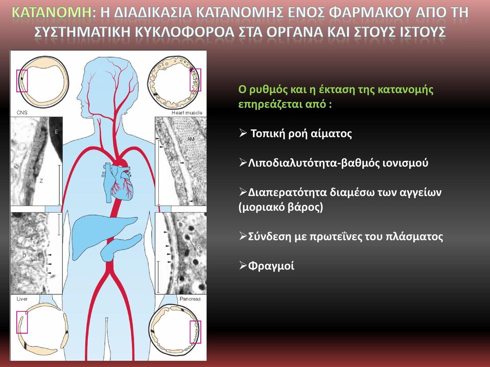 ιονισμού Διαπερατότητα διαμέσω των αγγείων