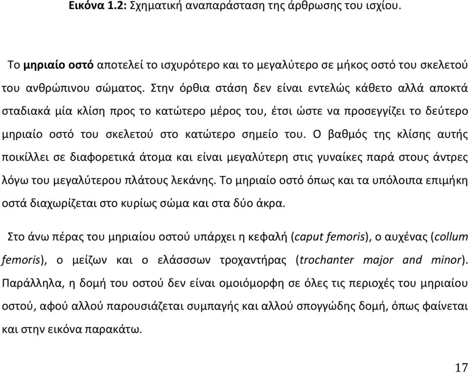 Ο βαθμός της κλίσης αυτής ποικίλλει σε διαφορετικά άτομα και είναι μεγαλύτερη στις γυναίκες παρά στους άντρες λόγω του μεγαλύτερου πλάτους λεκάνης.