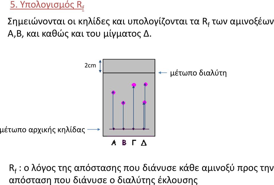 2cm μέτωπο διαλύτη μέτωπο αρχικής κηλίδας R f : ο λόγος της