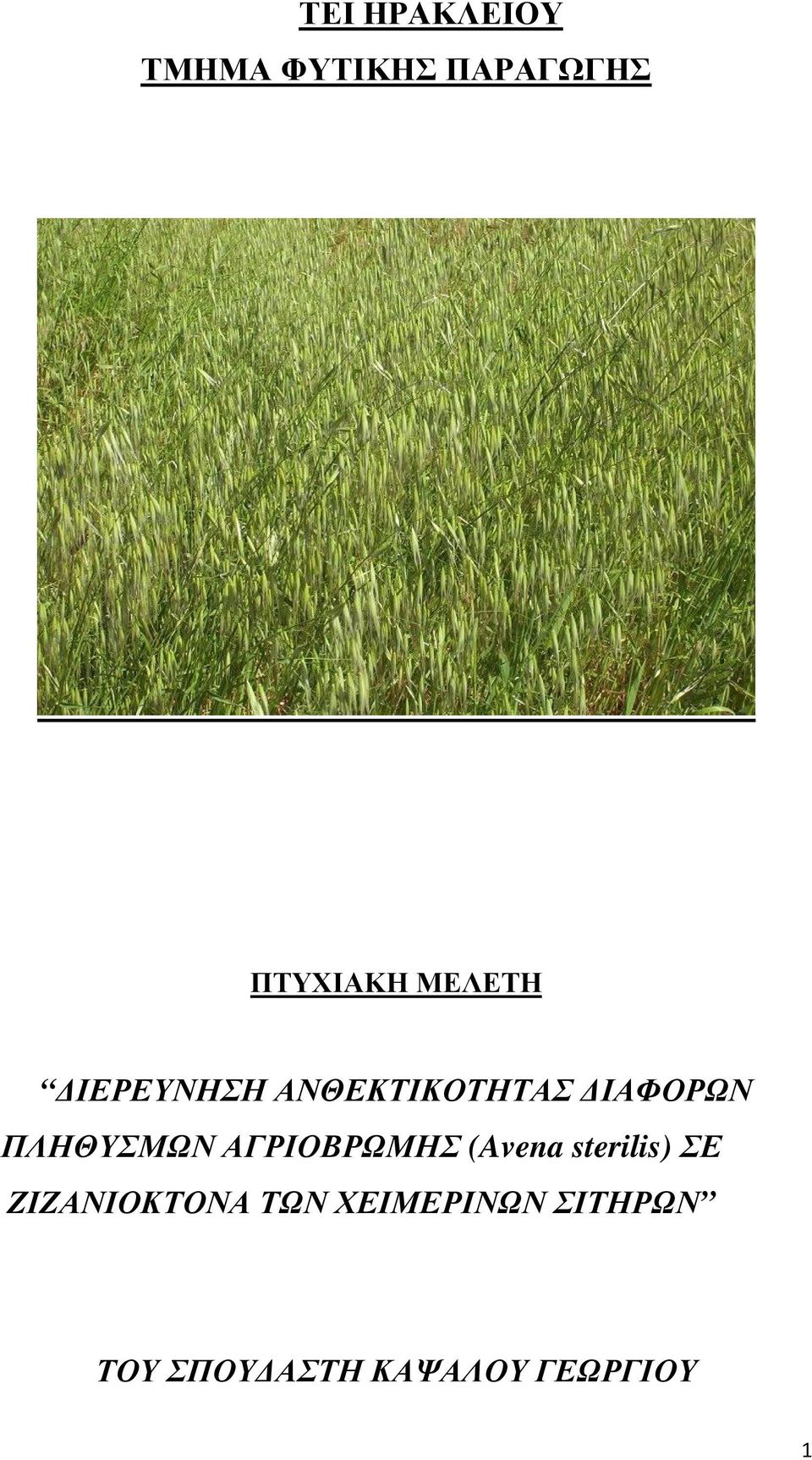 ΑΓΡΙΟΒΡΩΜΗΣ (Avena sterilis) ΣΕ ΖΙΖΑΝΙΟΚΤΟΝΑ ΤΩΝ