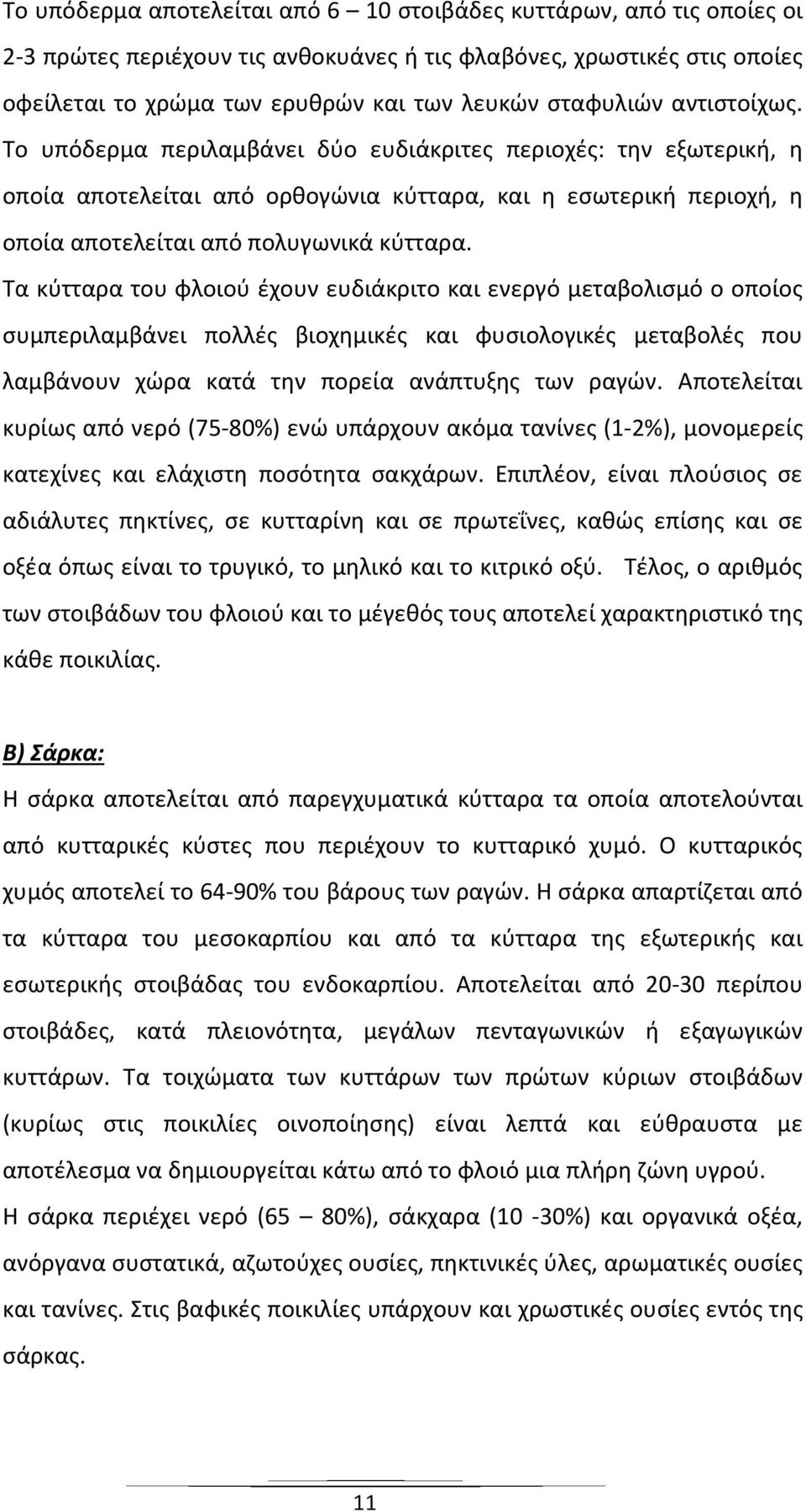 Τα κύτταρα του φλοιού έχουν ευδιάκριτο και ενεργό μεταβολισμό ο οποίος συμπεριλαμβάνει πολλές βιοχημικές και φυσιολογικές μεταβολές που λαμβάνουν χώρα κατά την πορεία ανάπτυξης των ραγών.