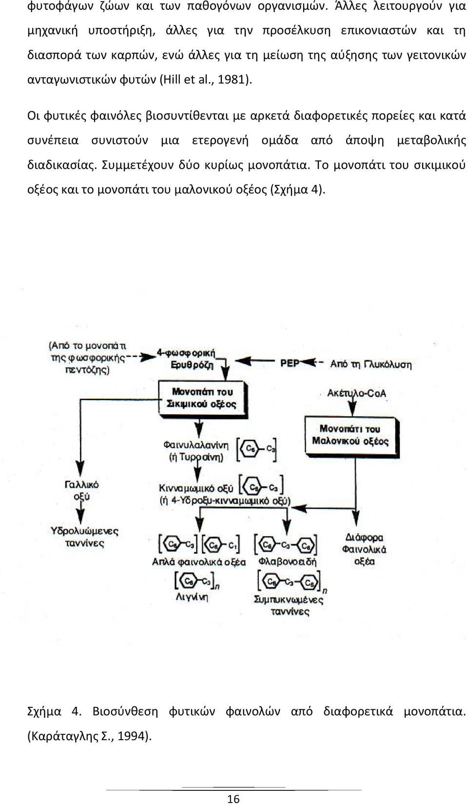 γειτονικών ανταγωνιστικών φυτών (Hill et al., 1981).